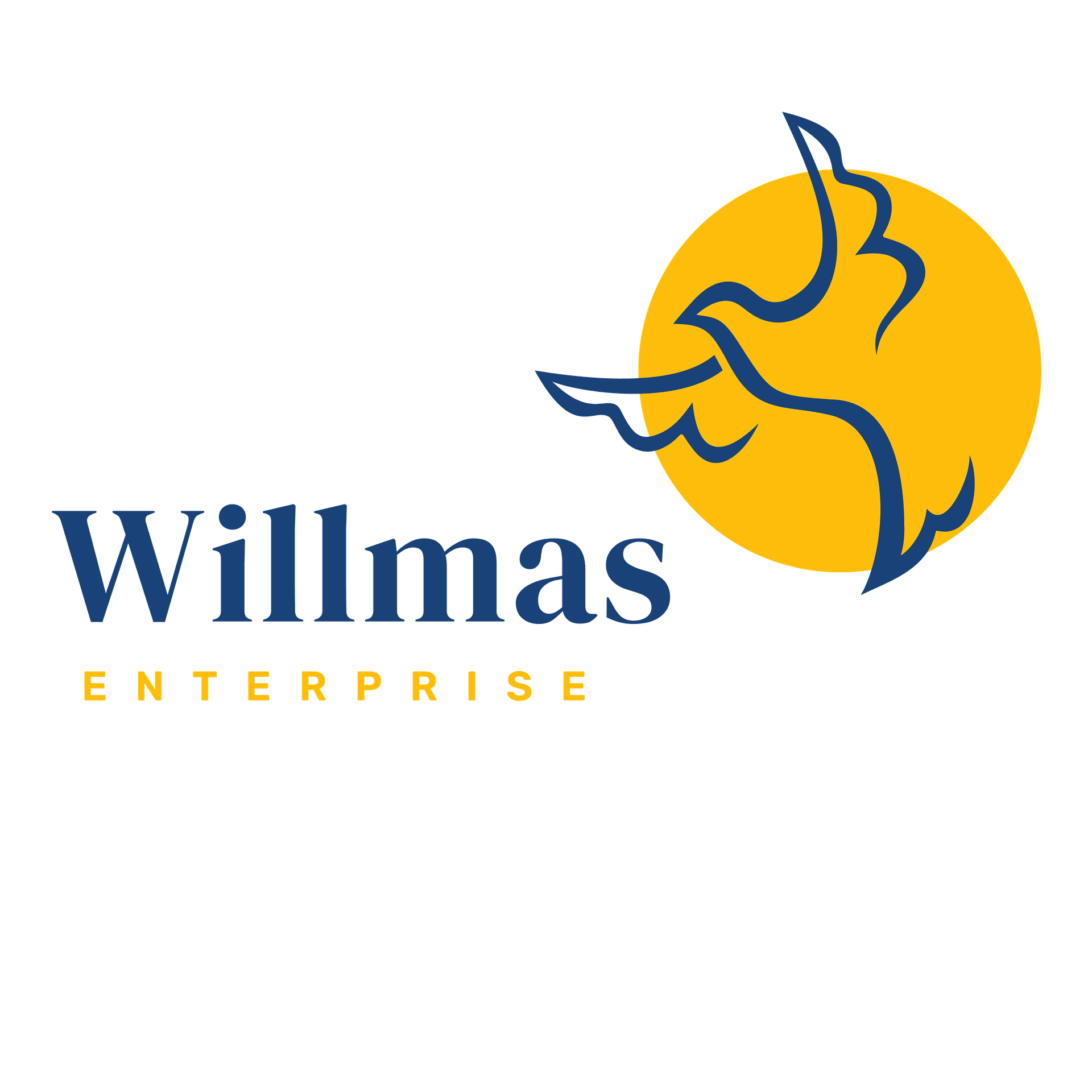WillmasEnterprise
